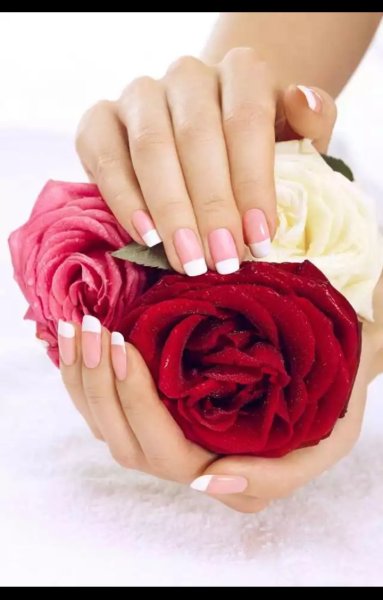 Женская рука с цветком