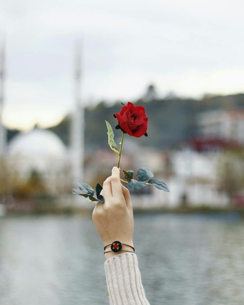 Цветок на руку.