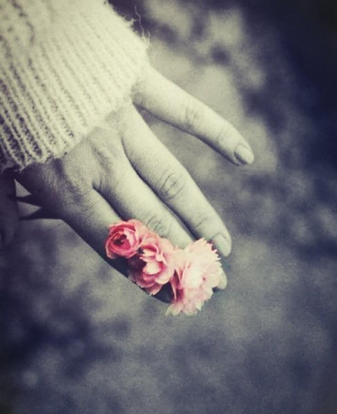 Нежные цветы в руках