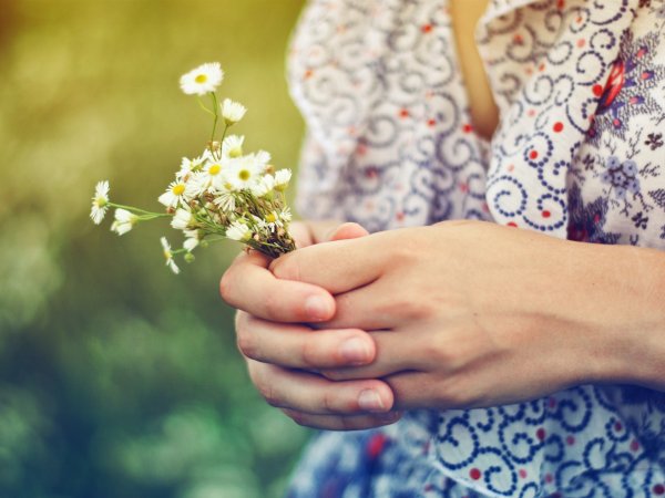 Нежные цветы в руках