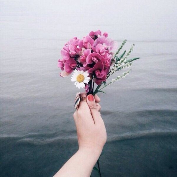 Нежные цветы в руках