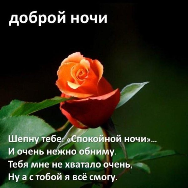 Пожелания доброй ночи