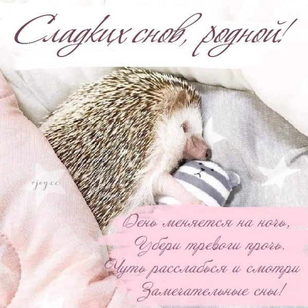 Ирочка спокойной ночи сладких снов