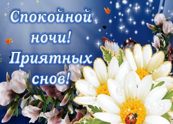 Открытки спокойной ночи с ромашками