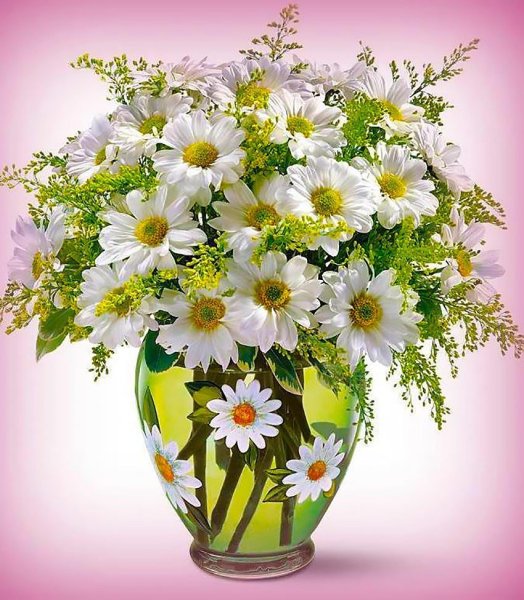 Букет ромашек картинки