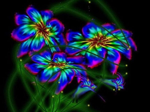 Сказочный цветок рисунок