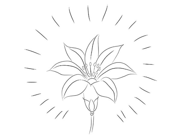 Сказочные цветы на прозрачном фоне