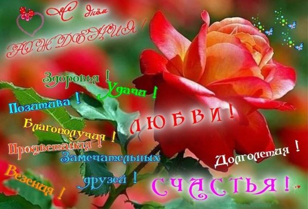 Поздравления с днём рождения Светик
