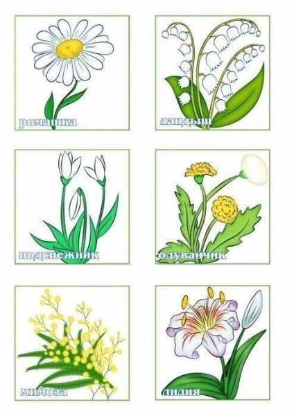 Карточки первоцветы для дошкольников