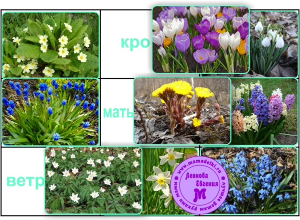 Название весенних цветов