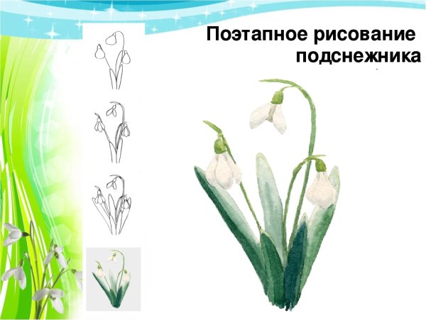 Растения весной для дошкольников