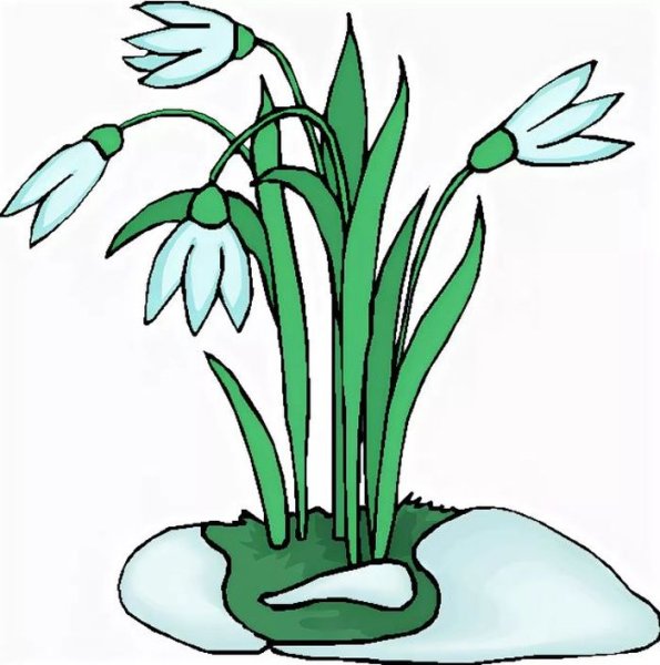 Лото «в мире растений»