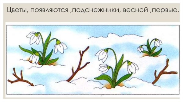 Рисование подснежники подготовительная группа