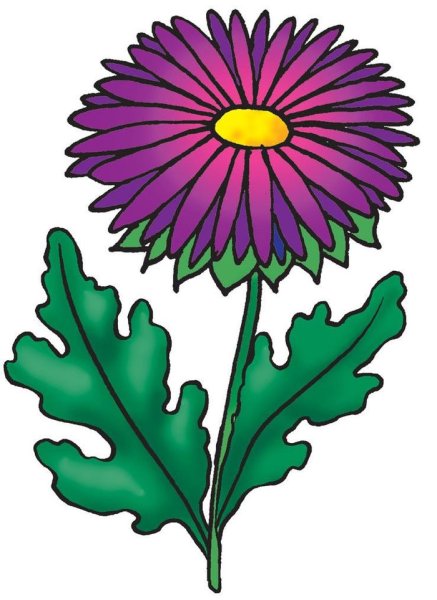 Астра для детей