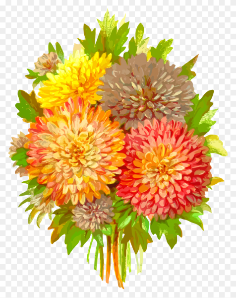 Цветы без фона