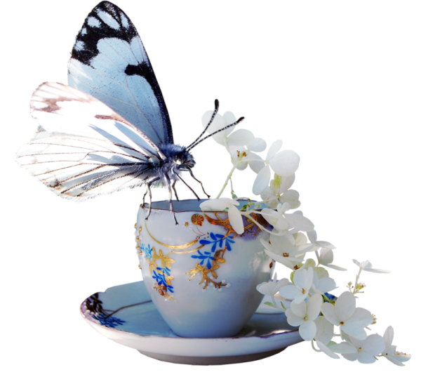 Доброго дня с бабочками