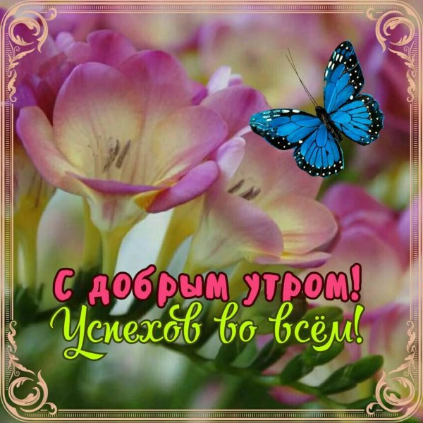 Добрые пожелания с бабочками