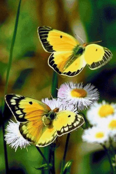 Доброго дня природа