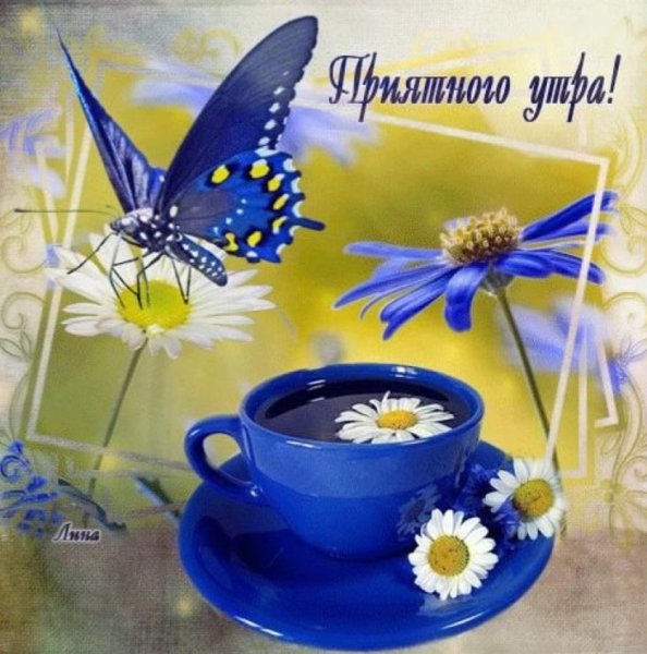 Бабочки с пожеланиями