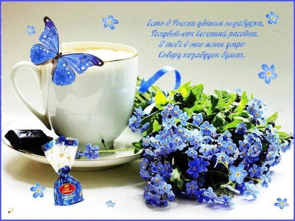 Гифы бабочки на цветах