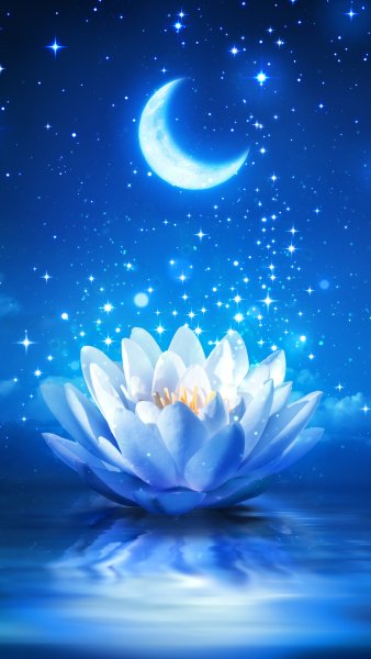 Открытки спокойной ночи