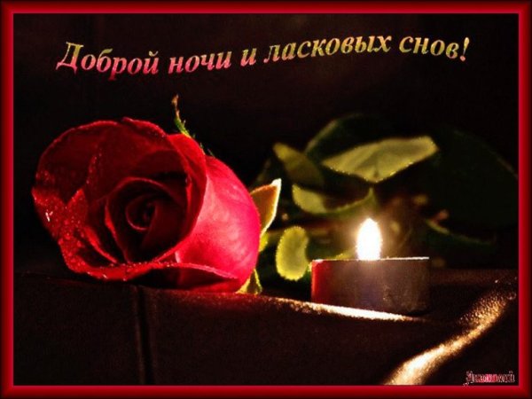 Нежные пожелания спокойной ночи