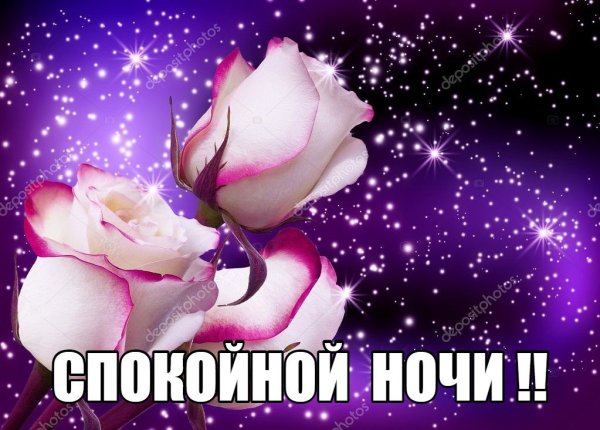 Цветы с пожеланием спокойной ночи