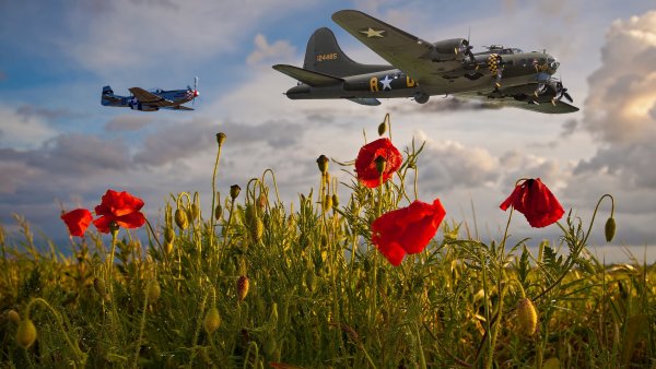 Самолет над полем