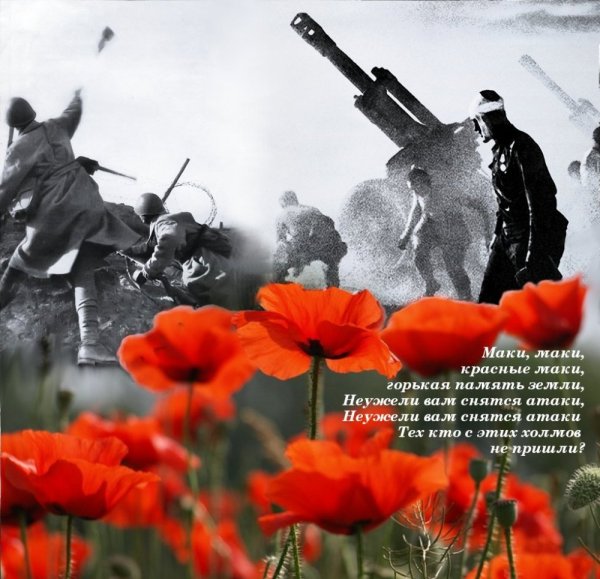 Маки маки красные маки горькая память земли