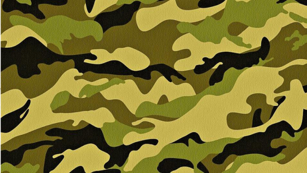 Цветы Победы