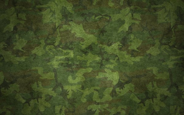 Камо Кайман расцветка