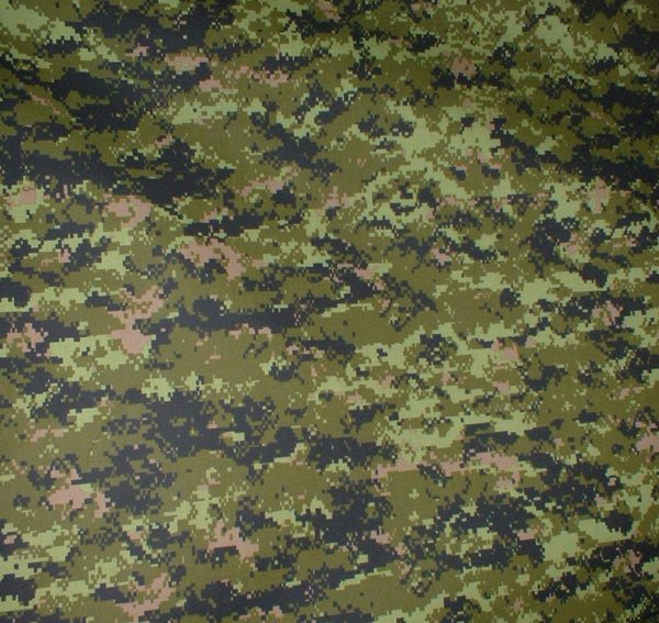 Красные гвоздики и Георгиевская ленточка