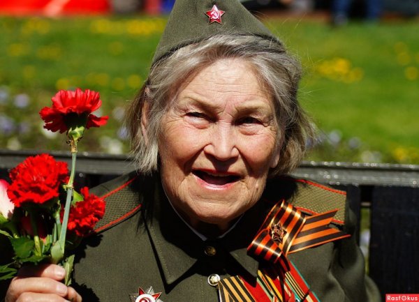 Георгиевская лента с гвоздикой