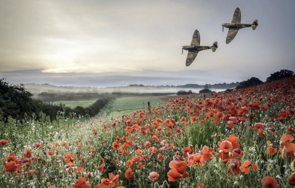 Военный фон