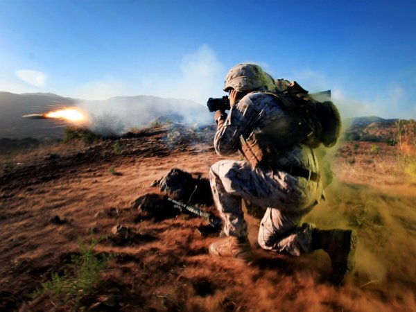 Маки на афганской войне