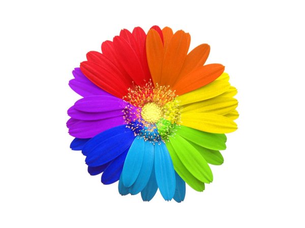 Цветик семицветик