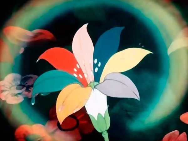 Цвета лепестков Цветика семицветика