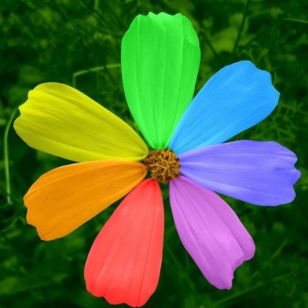 Цветик семи семицветик