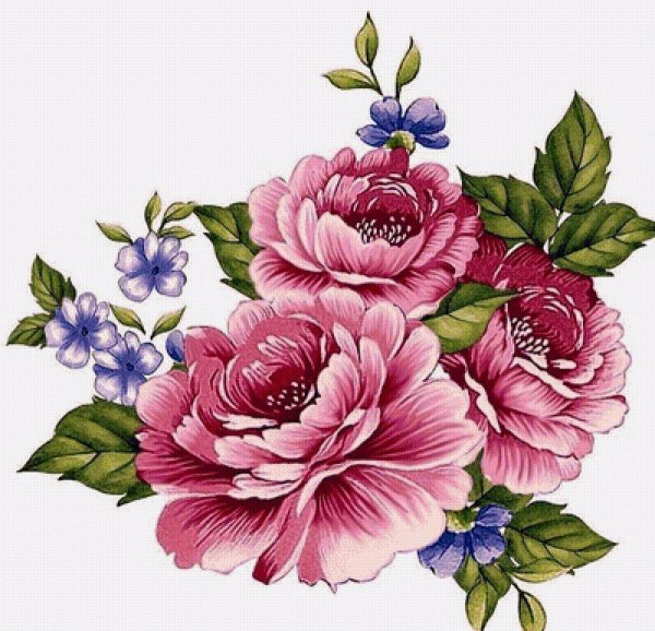 Рисунки цветов