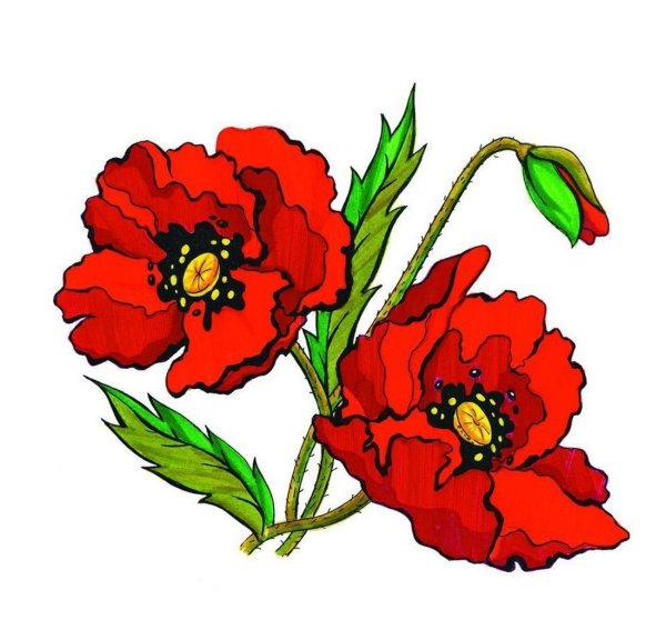 Стикеры цветы