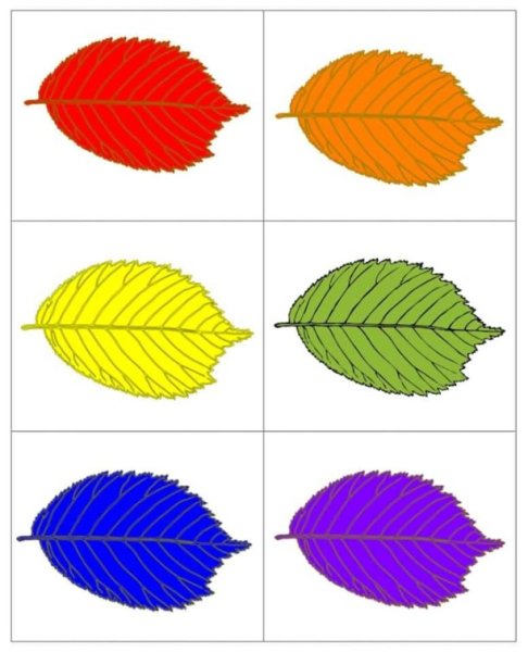 Листики разного цвета