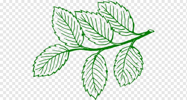 Нарисованная ветка с листьями