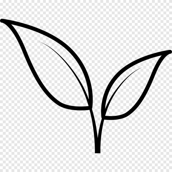 Листочки на прозрачном фоне