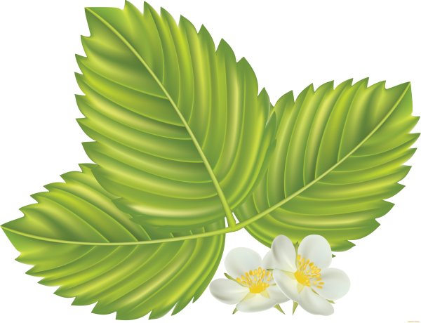 Лист в цветочек