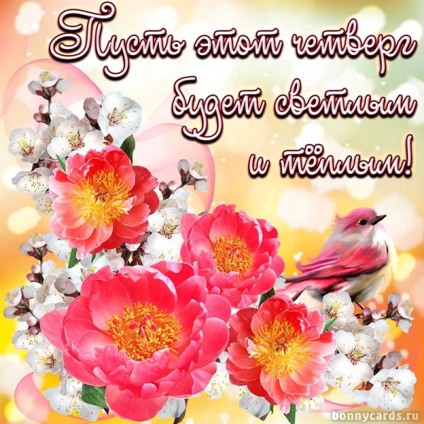 Доброе утро четверга цветы