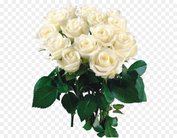 Удачного четверга и хорошего настроения