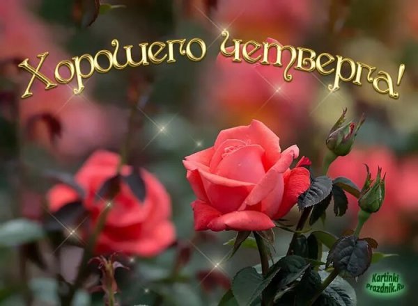 Доброе утро хорошего четверга