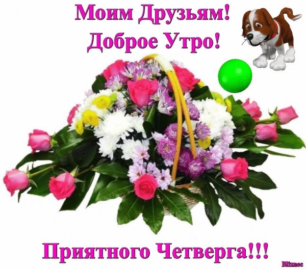 Поздравление с четвергом и добрым утром