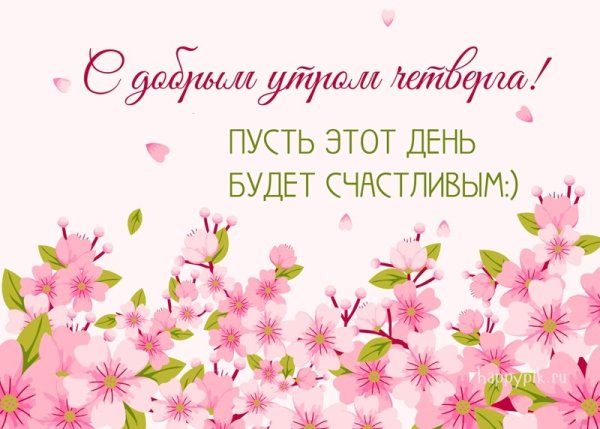 Доброе утро красивые цветы в горшках с цветами