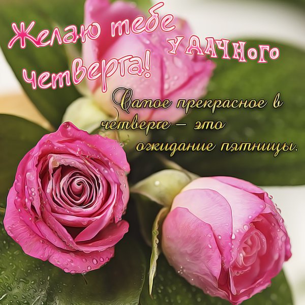 Доброе утро четверга